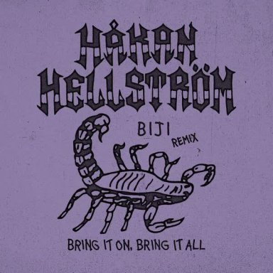 Bring it on, bring it all (BIJI Remix)