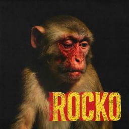 Rocko