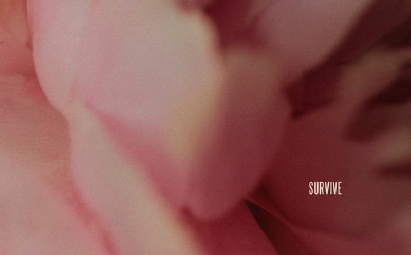 Survive