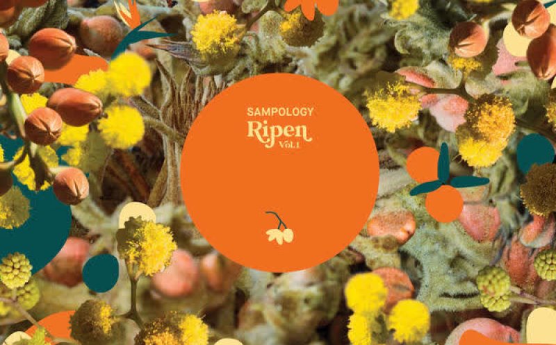 Marigolds for Movement