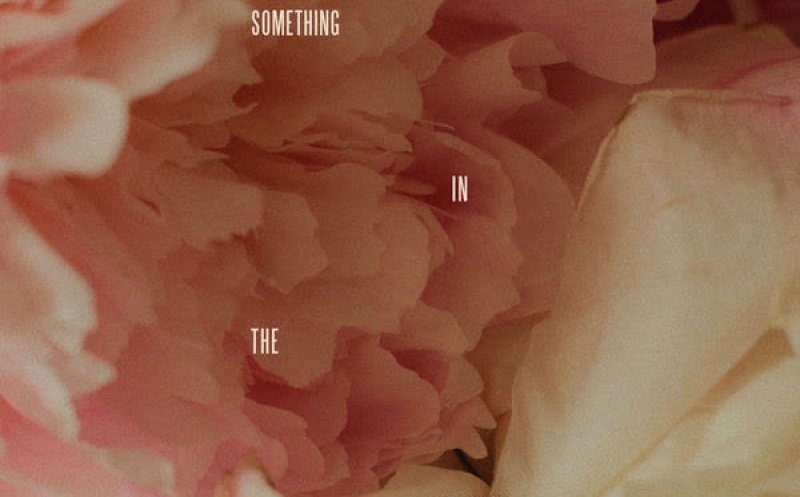 Something In The Heavens