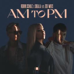 AM to PM (feat. Zoe Wees)
