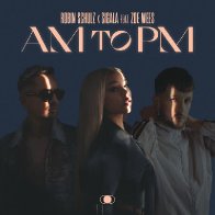 AM to PM (feat. Zoe Wees)
