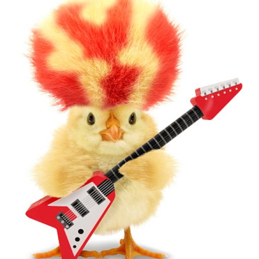 kyckling_gitarr