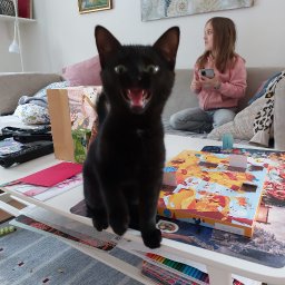ella_teckning_1.jpg