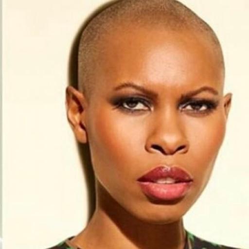 Skunk Anansie