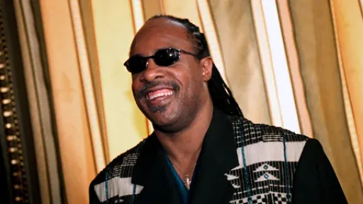 Stevie Wonder